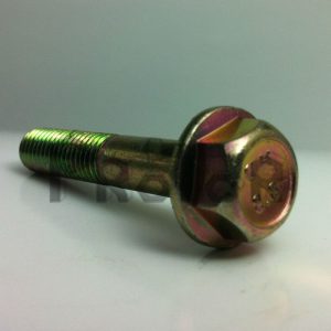 Tornillo hex gr 2 tropicalizado