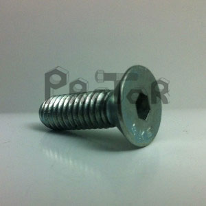 Tornillo Bristol Cabeza Avellan Zincado